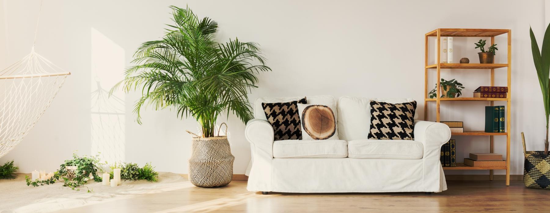 a white couch in a room